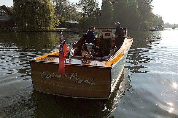 Doggies enjoying a day out on "Casino Royale".