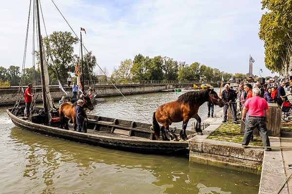 A horse getting off a boat at the Festival de Loire.