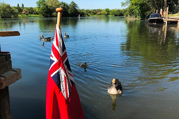 Enjoying some quiet time with the local wildlife.