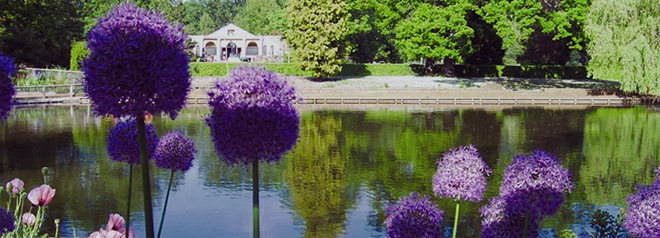 The lake inside Beale Wildlife Park