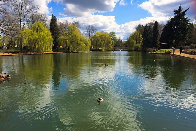 The lake inside Beale Wildlife Park on which we will operate the self-drive waterfowl-themed electric boats for kids and (grand)parents.