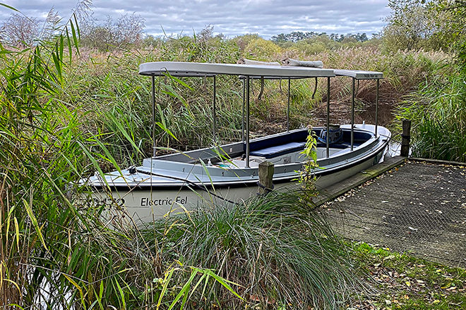 'Electric Eel' hiding in the riparian vegetation.