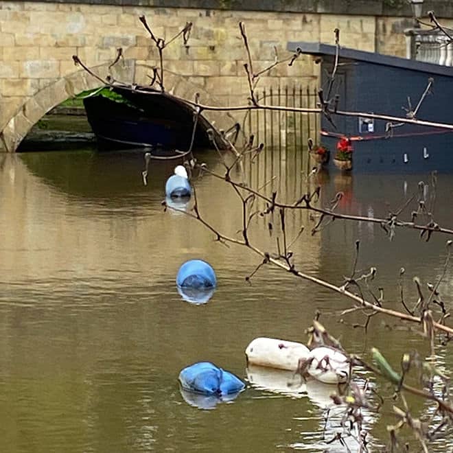 At least the geraniums are happy on our Pure Boating kiosk in Wallingford!